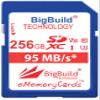 BigBuild Technology 256GB U3 SDXC Memory Card for Panasonic Lumix DC-S9/S9KE-A, DC-G9 II, GH7 Cameras view 1