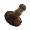 GAROZATION 1pc Vinyl Record Cleaning Brush Soft Non-Scratch Brush for Record Care for Vinyl Players and Musical Instruments Compact Design for Easy Storage view 1