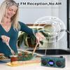 SEMIER Small Digital FM Radio Bluetooth Speaker, Handheld Rechargeable Radio Wireless Speaker, LCD Display, Double Speakers, Headphone Jack, Support USB/Micro SD Card MP3 Play for Home Outdoor (No AM) view 3