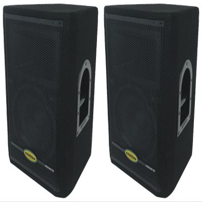 Audiosavings Bundle: (2) RS10HD 10" 2-Way 300 Watt Wooden Passive PA Speaker w. Titanium Tweeter (2 Items)