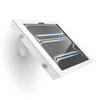 Compulocks iPad Pro M4/M5, Apex Enclosure Core Stand - White view 4