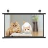 Projector Screen 4:3/16:9, Portable Projection Screen 30" , 40" , 50", Projector Screen Pull Down Manual, Wall Mount Projection Screen For Home Theater Cinema Office Education Presentation(16:9,40") view 1