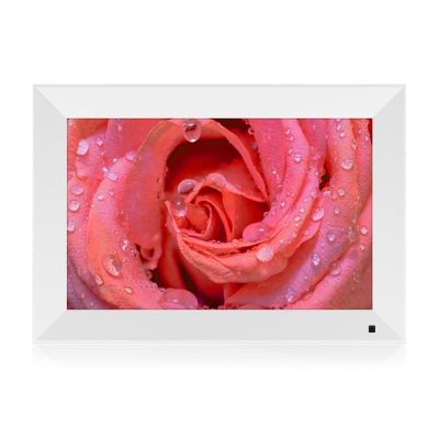 10.inch Digital Photo Frame with Mircro SD Slot Video Advertising Picture Play in Loop in for Mall Retail Shop Home Clearer (White)