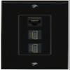 RiteAV CAT5E 2 HDMI Wall Plate Decorative Female-Female [Black] view 1