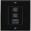 RiteAV 2 HDMI Phone Wall Plate Decorative Female-Female [Black] view 1