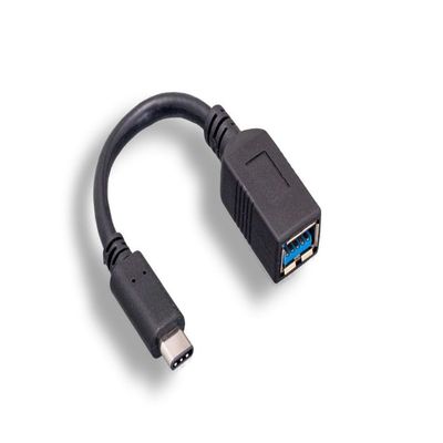 RiteAV USB 3.2 Gen1 Type C Male to USB A Female Adapter [10 Pack]