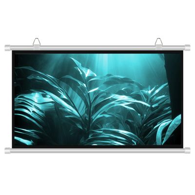 16:9 HD Portable Projector Screen, Manual Pull Down Projector Movie Screen, for Home Theater Cinema Office Game(40in(88x50cm))