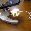 Lab Microscope Accessories Microscope Lamp USB White LED Light Lighting Biological Microscope Lamp Source view 4