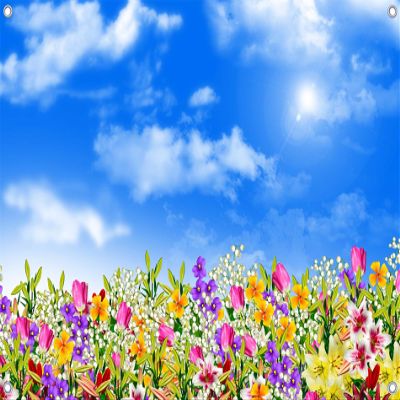 Gorpic 12x10ft Fabric Vibrant Spring Floral Backdrop Colorful Flowers Under a Sunny Blue Sky Photography Background for Baby Shower Birthday Party Banner Decorations Photo Studio Props Wallpaper