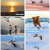 5K Video Camera Camcorder 36MP with 3.5-inch Rotating Touch Screen 64G Memory Card Digital Camera Vlogging Camera Handheld Camera for YouTube Travel Life Vlogging Recording view 3
