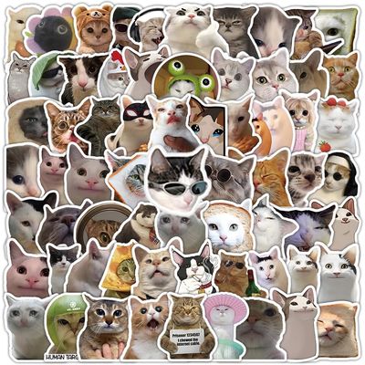 100 Pcs Funny Cat Stickers Cute Cat Meme Sticker for Adults Funny Animal Vinyl Waterproof Stickers for Water Bottles Laptops Phone Luggage Guitar
