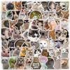 100 Pcs Funny Cat Stickers Cute Cat Meme Sticker for Adults Funny Animal Vinyl Waterproof Stickers for Water Bottles Laptops Phone Luggage Guitar view 1