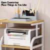 4 Tier AV Media Stand,CD Player Stand, Metal Media Cart, Open Storage Audio Rack,for Living Room, Office, Classrooms, Recording Studio(White+White) view 3