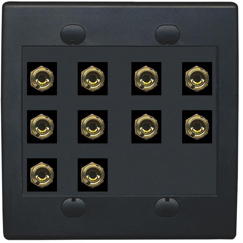 RiteAV 10 Banana 5 Speaker Surround 2 Gang Coupler Wall Plate 2 Gang Black