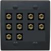 RiteAV 10 Banana 5 Speaker Surround 2 Gang Coupler Wall Plate 2 Gang Black view 1