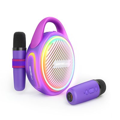 20W Portable Wireless Bluetooth Speaker with Two Microphones Mini Karaoke (Purple)