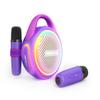 20W Portable Wireless Bluetooth Speaker with Two Microphones Mini Karaoke (Purple) view 1