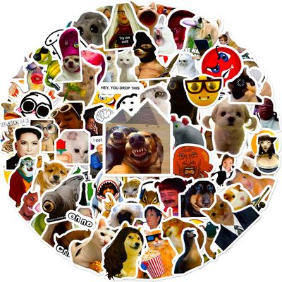 100 Pieces Funny Meme Stickers, Cute Internet Meme Stickers Waterproof Vinyl Gifts for Phone, Water Bottle, Luggage, Laptop, Adults Teens