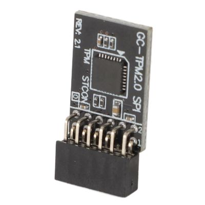 TPM 2.0 Security Module with 12-1 Pin 2 X 6P SPI Interface Module for Motherboard, Standalone Crypto Processor
