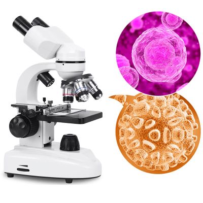 Binocular Compound Microscope, 40X-6000X/ 10000X/ 20000X Magnification, Brightfield, LED Illumination, Sliding Head, High-Resolution Optics, Lab Binocular Microscope for Kids and Adults (D6000x )