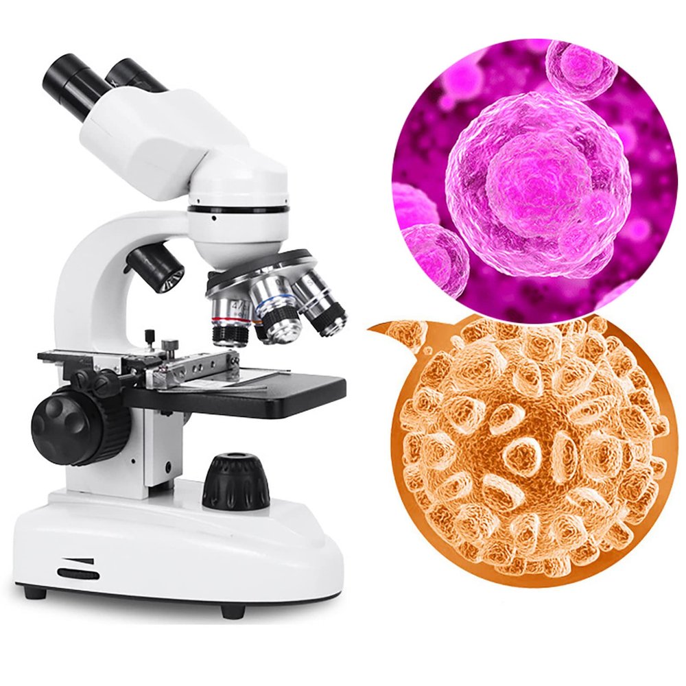 Binocular Compound Microscope, 40X-6000X/ 10000X/ 20000X Magnification, Brightfield, LED Illumination, Sliding Head, High-Resolution Optics, Lab Binocular Microscope for Kids and Adults (D6000x )