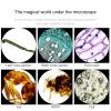 Binocular Compound Microscope, 40X-6000X/ 10000X/ 20000X Magnification, Brightfield, LED Illumination, Sliding Head, High-Resolution Optics, Lab Binocular Microscope for Kids and Adults (D6000x ) view 3