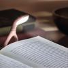 moses. libri_x Lumi Plus Recharge Powder Reading Light with Continuous Dimmer for Reading in the Dark Rechargeable LED Reading Lamp in Nude Look view 2