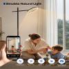 GLOWRIUM 12000 Lux Light Therapy Lamp, Full Spectrum LED UV-Free Sun Lamp view 3