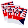NEGNME 3 PCS Czech Republic Flag Sticker. Decal in Multiple Sizes 11.7 x 8.3 Inches (Blue red Czech Republic, Rectangle 11.7 x 8.3 Inches) view 2