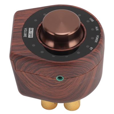 BPTCUE 5.0 Small Amplifier Powerful HiFi Stereo Sound for Mobile Phones Computers Home Entertainment