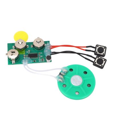 DIY Greeting Card Chip, 120 Seconds Recordable Voice Sound Chip Module, Voice Sound Recording Module for DIY Homemade Greeting Cards, Gift Boxes, Invitations, Handmade Products,Etc