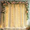 10x10ft Champagne Tulle Backdrop Curtains with Lights String for Parties,Wrinkle Free Sheer Curtain with Lights Wedding Photo Backdop Drapes for Baby Shower Birthday Party Photography Home Decorations view 1