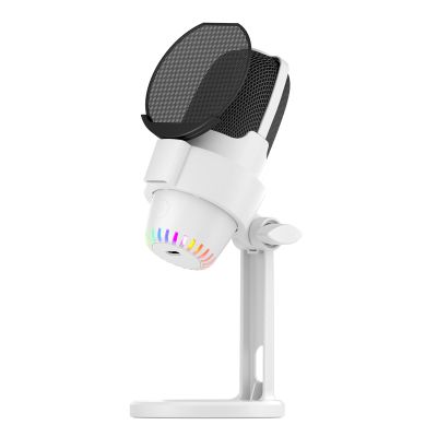 Irfora USB RGB Microphone Computer Mic Kit with Tod Noise Reduction Plug & Play One Key to Mute for Gaming/Meeting/Live Streaming/Audio Recording/Video Compatible with iOS/Android/Windows/PS5/LINUX -