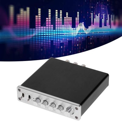 100W Hi - Fi Stereo Digital Amplifier - High Output Audio Amp with Enhanced Bass, Compact and Portable Design for Home Audio System, Sturdy Aluminum Construction
