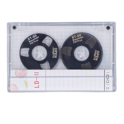 Blank Cassette Tapes: 46min Reel to Reel Cassette Music Tapes, Low Noise high Output for Music Recording DIY (goodstumblerRP3ELXD5-11)