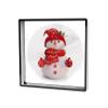 Advertise 3d Hologram Advertising Advertising Display, 45cm 3d Hologram Projector, 3d Animation Video Projector Display view 1