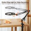 Mobile Stand with 10inch Ring Light, Metal Arm,1/4"" Ball Head for Camera Desktop Stand, Overhead Video Stand for Bedroom Desktop, Compatible with Gopro, Mobile, Camera(10"" with Ring Light) view 2