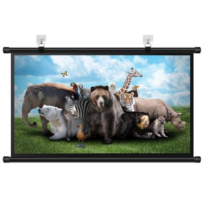 4K HD Home Theater Projector Screen 4:3 16:9 Format Manual Pull Down Projection Screen 30" 40" 50" 60" 72" Wall Mounted Projection Screen for Indoor Outdoor(40 Inch (16:9))