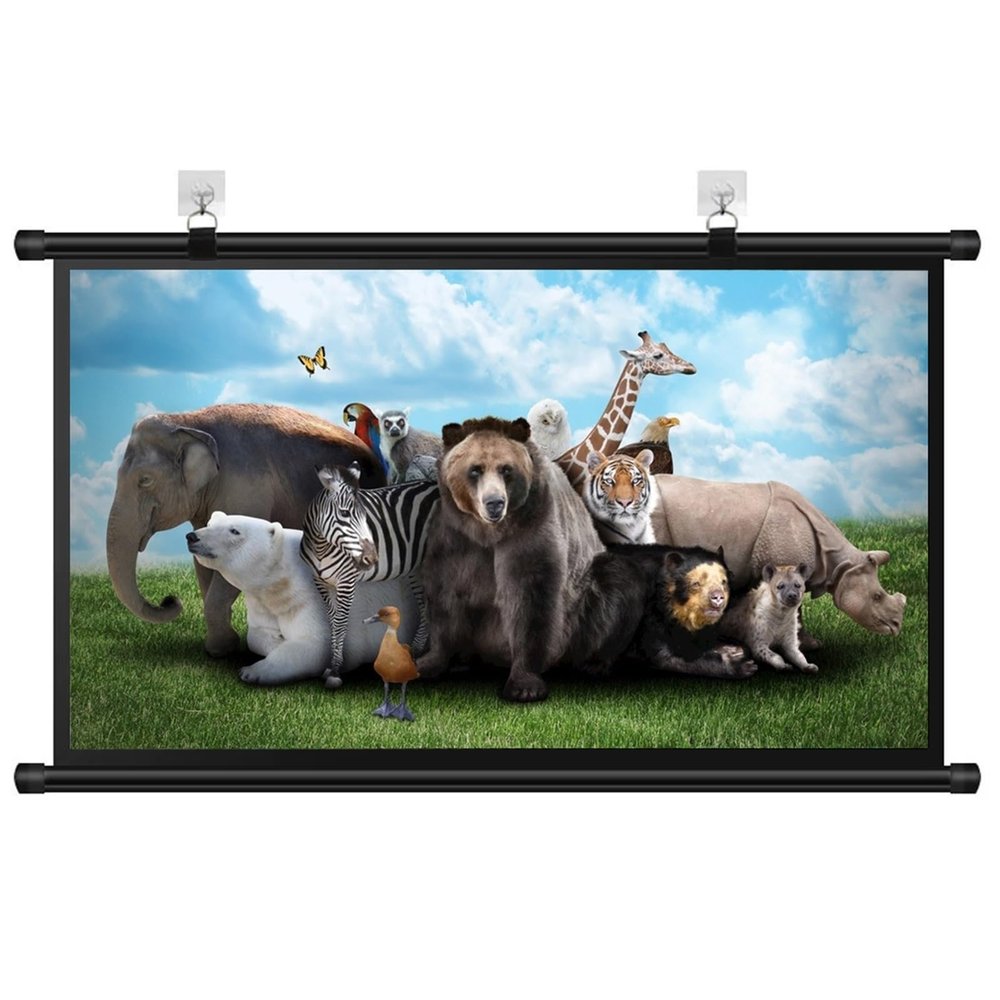4K HD Home Theater Projector Screen 4:3 16:9 Format Manual Pull Down Projection Screen 30" 40" 50" 60" 72" Wall Mounted Projection Screen for Indoor Outdoor(40 Inch (16:9))