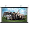 4K HD Home Theater Projector Screen 4:3 16:9 Format Manual Pull Down Projection Screen 30" 40" 50" 60" 72" Wall Mounted Projection Screen for Indoor Outdoor(40 Inch (16:9)) view 1