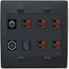 2 Gang Spring Clip Style 5.1 Speaker Wall Plate With 1 Port HDMI TOSLINK RCA Connectors - Flat 2 Gang [Black/Black] view 1