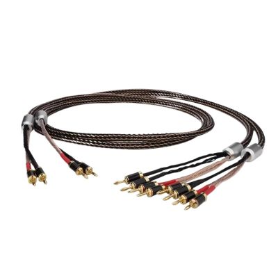 2 to 4 HiFi BiWiring Cable HiFi 24 Strand 7N OCC Cables Bi-Wiring Bannana(2m)