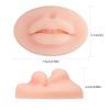 light colour 2Pcs/Set 3D Tattoo Practice Lips, Silicone Lips for Makeup Practice, Soft Tattoo Practice Lips Model for Semi Permanent Make Up Supplies view 3