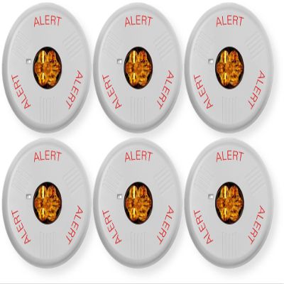 ELSTWC-ALA Pack of 6 Lens Strobes, White; Alert Lettering; Amber Lens; LED; Ceiling Mounting; Indoor; 15/30/75/110/150/177 cd; 24V; Low-Profile Design; Mounting Plate Included