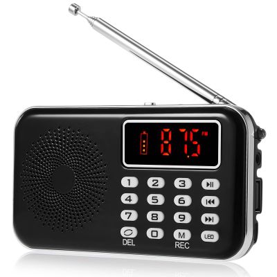 Relaxweex Ghost Hunting EVP Recorder Paranormal Investigation Fm Spirit Radio Device Black Paranormal Detection Equipment Kit for Ghost Hunting Sessions Outdoor
