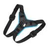 aqxreight Helmet Chin Mount Adjustable Strap Secure Digital Cameras and Accessories Fit Motorcycle Camera Holder for 7 6 5 (Blue) view 2