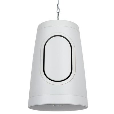 Dayton Audio 8" Commercial Audio Pendant Speaker 70V/100V/8 Ohm White WP80XTW