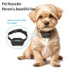 Cat Collar Camera, 1080P Cordless Sport Camera with Collar, Video Records, Wide Angle, Mini Action Camera for Cats Dogs Outdoor Indoor (Black) view 3