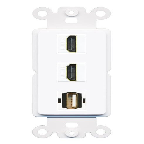 RiteAV 2 Port HDMI USB2 Coupler Jack Insert Rocker Module Female-Female for Decorative Wall Cover Face Plate [White]