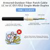 10M/33FT LC to LC Armored Outdoor Fiber Optic Cable, Single Mode Duplex 9/125m SMF Fiber Patch Cord, OS1/OS2 Compatible, Black LSZH Jacket, Uniboot Jumper for FTTH, Data Center, Long-Distance Use view 2